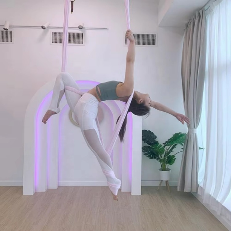 8 Meters Professional Black Ae - Yoga Swing Aerial 评论和价格