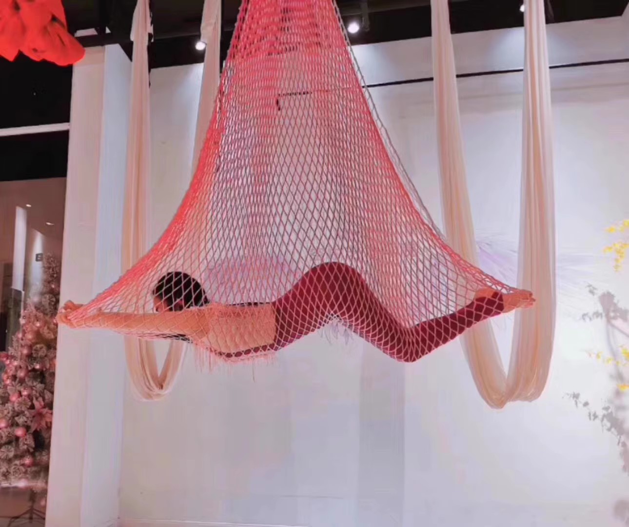 High Altitude Yoga Fishing Net - Yoga Swing Aerial 评论和价格