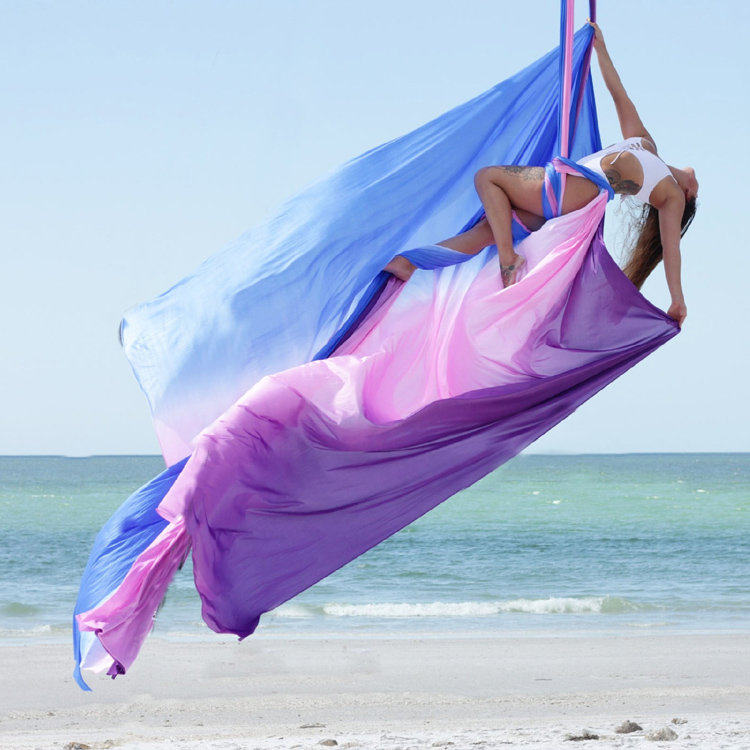 Aerial Yoga Swing, Durable Nyl - Yoga Swing Aerial 评论和价格